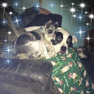 Meet your Posher, Becky